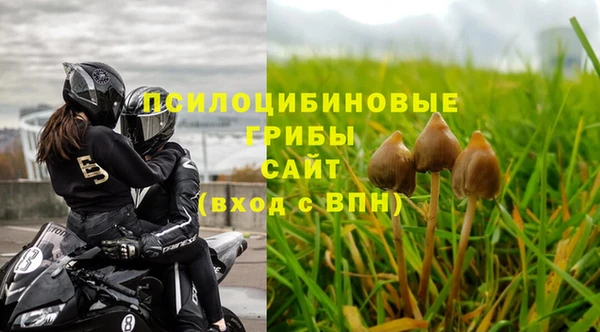 PSILOCYBIN Заволжье